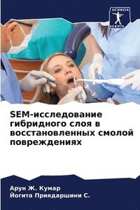 bokomslag SEM-&#1080;&#1089;&#1089;&#1083;&#1077;&#1076;&#1086;&#1074;&#1072;&#1085;&#1080;&#1077; &#1075;&#1080;&#1073;&#1088;&#1080;&#1076;&#1085;&#1086;&#1075;&#1086; &#1089;&#1083;&#1086;&#1103; &#1074;