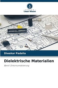 bokomslag Dielektrische Materialien