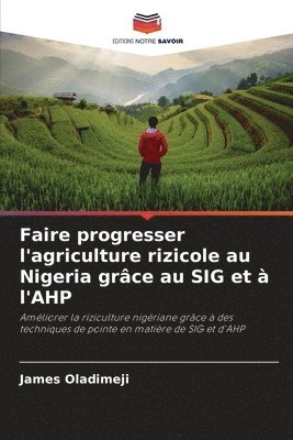 Faire progresser l'agriculture rizicole au Nigeria grce au SIG et  l'AHP 1