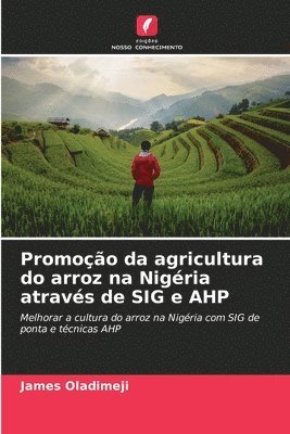 bokomslag Promoo da agricultura do arroz na Nigria atravs de SIG e AHP