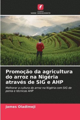 Promoo da agricultura do arroz na Nigria atravs de SIG e AHP 1