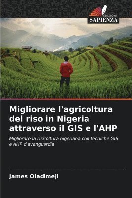 Migliorare l'agricoltura del riso in Nigeria attraverso il GIS e l'AHP 1