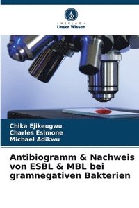 bokomslag Antibiogramm & Nachweis von ESBL & MBL bei gramnegativen Bakterien