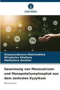 bokomslag Gewinnung von Monocalcium- und Monapotaliumphosphat aus dem zentralen Kyzylkum