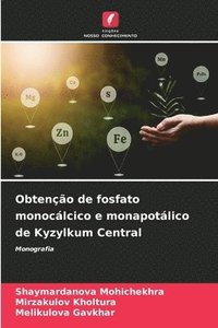 bokomslag Obteno de fosfato monoclcico e monapotlico de Kyzylkum Central