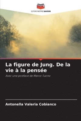 La figure de Jung. De la vie  la pense 1