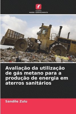 bokomslag Avaliao da utilizao de gs metano para a produo de energia em aterros sanitrios