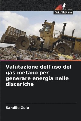 bokomslag Valutazione dell'uso del gas metano per generare energia nelle discariche