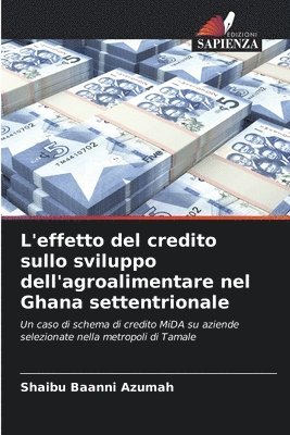 bokomslag L'effetto del credito sullo sviluppo dell'agroalimentare nel Ghana settentrionale