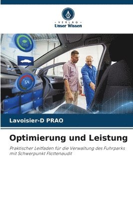 bokomslag Optimierung und Leistung