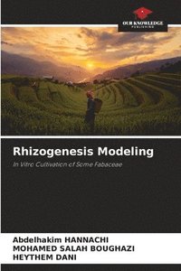 bokomslag Rhizogenesis Modeling