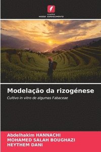 bokomslag Modelao da rizognese