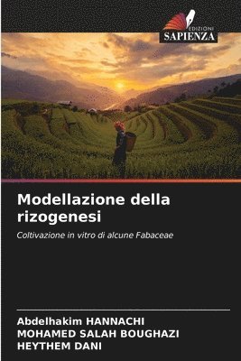 Modellazione della rizogenesi 1