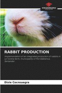 bokomslag Rabbit Production