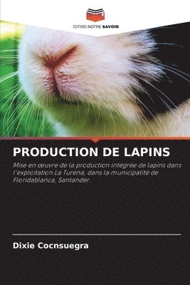 Production de Lapins 1