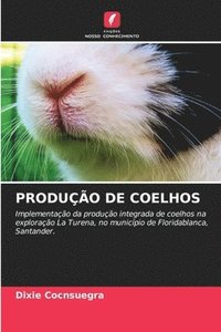 bokomslag Produo de Coelhos