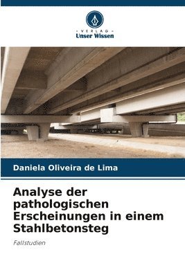 bokomslag Analyse der pathologischen Erscheinungen in einem Stahlbetonsteg