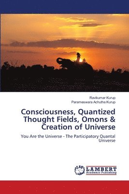 bokomslag Consciousness, Quantized Thought Fields, Omons & Creation of Universe