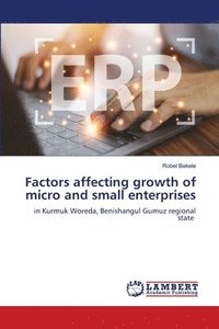 bokomslag Factors affecting growth of micro and small enterprises