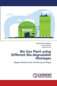 bokomslag Bio Gas Plant using Different Bio-degradable Wastages