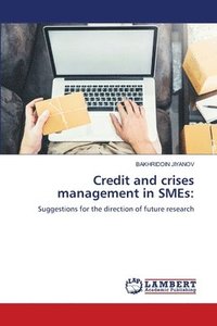 bokomslag Credit and crises management in SMEs