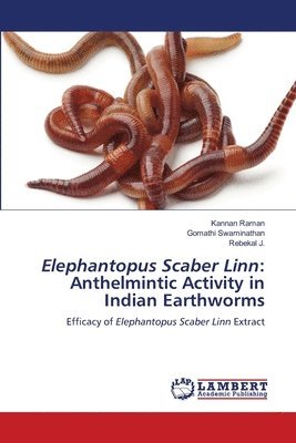 bokomslag Elephantopus Scaber Linn