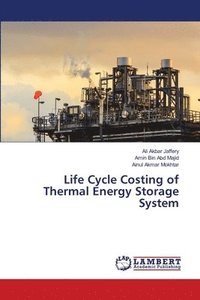 bokomslag Life Cycle Costing of Thermal Energy Storage System