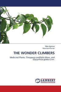 bokomslag The Wonder Climbers