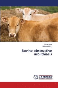 bokomslag Bovine obstructive urolithiasis