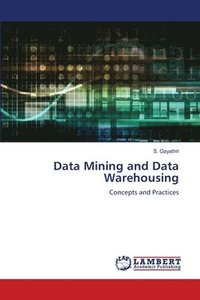 bokomslag Data Mining and Data Warehousing