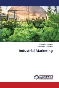 bokomslag Industrial Marketing