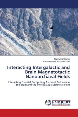 Interacting Intergalactic and Brain Magnetotactic Nanoarchaeal Fields 1