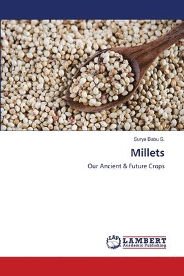 Millets 1