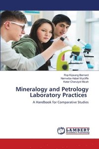 bokomslag Mineralogy and Petrology Laboratory Practices