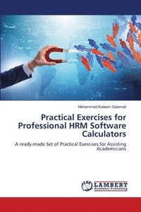 bokomslag Practical Exercises for Professional HRM Software Calculators