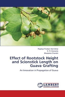 Effect of Rootstock Height and Scionstick Length on Guava Grafting 1