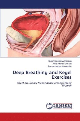 Deep Breathing and Kegel Exercises 1