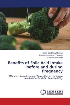 bokomslag Benefits of Folic Acid Intake before and during Pregnancy
