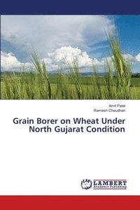 bokomslag Grain Borer on Wheat Under North Gujarat Condition