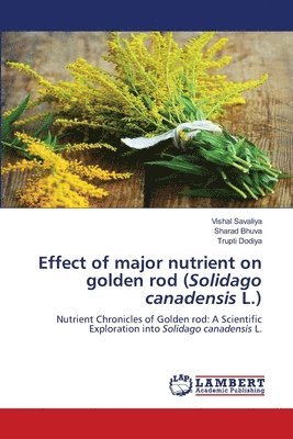 Effect of major nutrient on golden rod (Solidago canadensis L.) 1