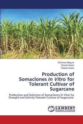 Production of Somaclones In Vitro for Tolerant Cultivar of Sugarcane 1