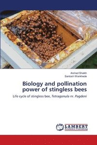 bokomslag Biology and pollination power of stingless bees