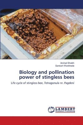 Biology and pollination power of stingless bees 1
