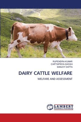 Dairy Cattle Welfare 1