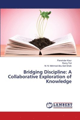Bridging Discipline 1