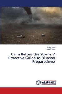 bokomslag Calm Before the Storm
