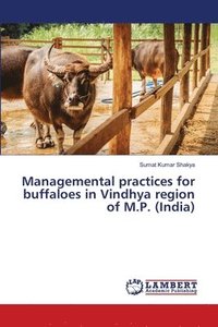 bokomslag Managemental practices for buffaloes in Vindhya region of M.P. (India)