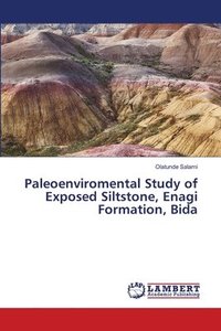bokomslag Paleoenviromental Study of Exposed Siltstone, Enagi Formation, Bida