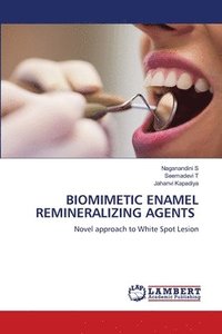 bokomslag Biomimetic Enamel Remineralizing Agents