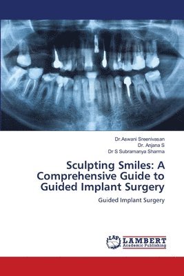 bokomslag Sculpting Smiles